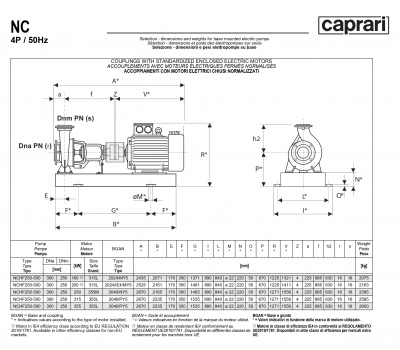 Одноступенчатые горизонтальные центробежные насосы Caprari NCHF 250-500 950 Одноступенчатые горизонтальные центробежные насосы Caprari NCHF 250-500 950