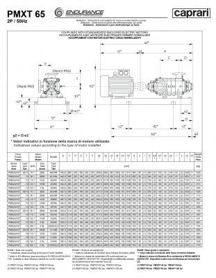 Горизонтальные секционные насосы высокого давления Caprari PMXT 65 2000 из нержавеющей стали Горизонтальные секционные насосы высокого давления Caprari PMXT 65 2000 из нержавеющей стали
