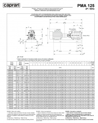 Горизонтальные многоступенчатые насосы высокого давления Caprari PMA 125 1750 Горизонтальные многоступенчатые насосы высокого давления Caprari PMA 125 1750