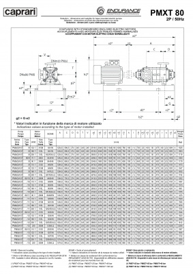 Горизонтальные секционные насосы высокого давления Caprari PMXT 80 1750 из нержавеющей стали Горизонтальные секционные насосы высокого давления Caprari PMXT 80 1750 из нержавеющей стали