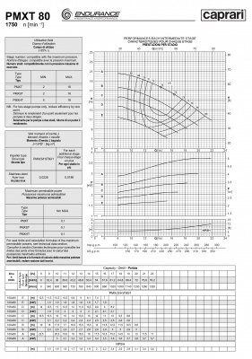 Горизонтальные секционные насосы высокого давления Caprari PMXT 80 1750 из нержавеющей стали Горизонтальные секционные насосы высокого давления Caprari PMXT 80 1750 из нержавеющей стали