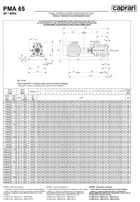 Горизонтальные многоступенчатые насосы высокого давления Caprari PMA 65 3500 Горизонтальные многоступенчатые насосы высокого давления Caprari PMA 65 3500