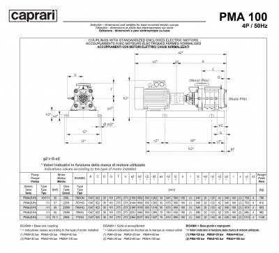 Горизонтальные многоступенчатые насосы высокого давления Caprari PMA 100H 3500 Горизонтальные многоступенчатые насосы высокого давления Caprari PMA 100H 3500