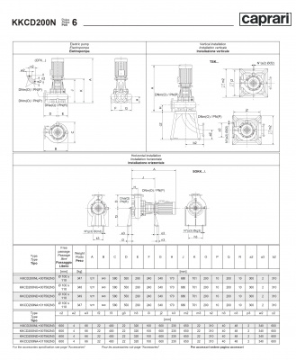 Сухая установка фекального насоса Caprari K-KOMPACT 6 DN 200 KKCD200N Сухая установка фекального насоса Caprari K-KOMPACT 6 DN 200 KKCD200N