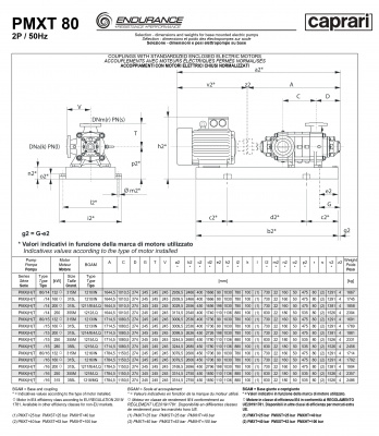 Горизонтальные секционные насосы высокого давления Caprari PMXT 80 1750 из нержавеющей стали Горизонтальные секционные насосы высокого давления Caprari PMXT 80 1750 из нержавеющей стали