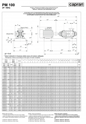 Горизонтальные многоступенчатые насосы высокого давления Caprari PM 100 2900 Горизонтальные многоступенчатые насосы высокого давления Caprari PM 100 2900