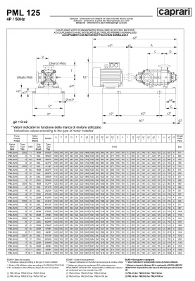 Горизонтальные многоступенчатые насосы высокого давления Caprari PML 125 1750 Горизонтальные многоступенчатые насосы высокого давления Caprari PML 125 1750