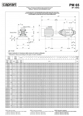 Горизонтальные многоступенчатые насосы высокого давления Caprari PM 65 1450 Горизонтальные многоступенчатые насосы высокого давления Caprari PM 65 1450