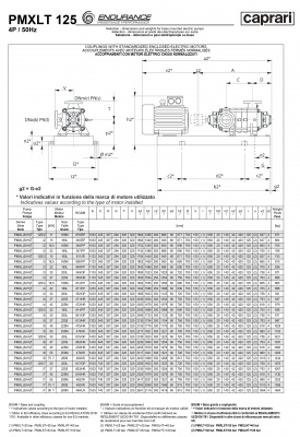 Горизонтальные секционные насосы высокого давления Caprari PMXLT 125 1750 из нержавеющей стали Горизонтальные секционные насосы высокого давления Caprari PMXLT 125 1750 из нержавеющей стали