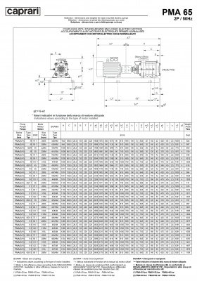 Горизонтальные многоступенчатые насосы высокого давления Caprari PMA 65 1450 Горизонтальные многоступенчатые насосы высокого давления Caprari PMA 65 1450