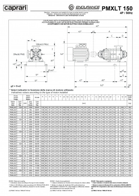 Горизонтальные секционные насосы высокого давления Caprari PMXLT 150 2900 из нержавеющей стали Горизонтальные секционные насосы высокого давления Caprari PMXLT 150 2900 из нержавеющей стали