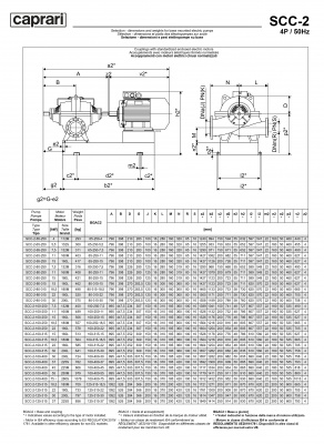 Горизонтальные насосы двустороннего входа Caprari SCC-2-65-250 1450 Горизонтальные насосы двустороннего входа Caprari SCC-2-65-250 1450