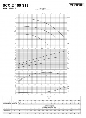 Горизонтальные насосы двустороннего входа Caprari SCC-2-100-315 1450 Горизонтальные насосы двустороннего входа Caprari SCC-2-100-315 1450