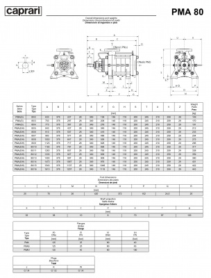 Горизонтальные многоступенчатые насосы высокого давления Caprari PMA 80 1750 Горизонтальные многоступенчатые насосы высокого давления Caprari PMA 80 1750