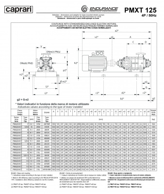 Горизонтальные секционные насосы высокого давления Caprari PMXT 125 2900 из нержавеющей стали Горизонтальные секционные насосы высокого давления Caprari PMXT 125 2900 из нержавеющей стали
