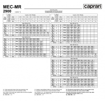 Горизонтальные многоступенчатые насосы Caprari MEC-MR 2900 Горизонтальные многоступенчатые насосы Caprari MEC-MR 2900