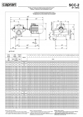 Горизонтальные насосы двустороннего входа Caprari SCC-2-250-450 1450 Горизонтальные насосы двустороннего входа Caprari SCC-2-250-450 1450