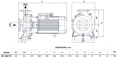 Центробежный насос Purity PSTG-R5 50-160/75