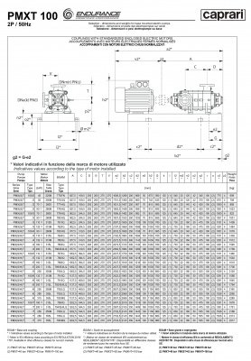 Горизонтальные секционные насосы высокого давления Caprari PMXT 100 1750 из нержавеющей стали Горизонтальные секционные насосы высокого давления Caprari PMXT 100 1750 из нержавеющей стали