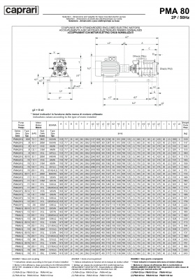 Горизонтальные многоступенчатые насосы высокого давления Caprari PMA 80 1750 Горизонтальные многоступенчатые насосы высокого давления Caprari PMA 80 1750