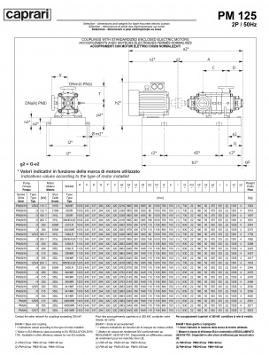 Горизонтальные многоступенчатые насосы высокого давления Caprari PM 125 1450 Горизонтальные многоступенчатые насосы высокого давления Caprari PM 125 1450