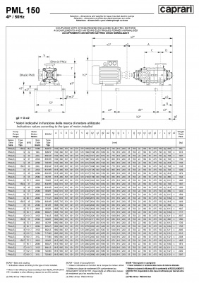 Горизонтальные многоступенчатые насосы высокого давления Caprari PML 150 2000 Горизонтальные многоступенчатые насосы высокого давления Caprari PML 150 2000