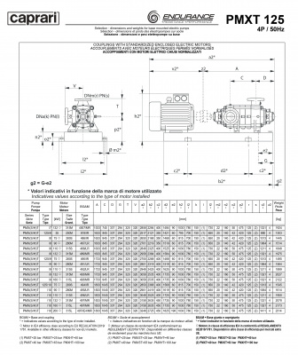 Горизонтальные секционные насосы высокого давления Caprari PMXT 125 2200 из нержавеющей стали Горизонтальные секционные насосы высокого давления Caprari PMXT 125 2200 из нержавеющей стали