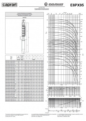 Скважинные насосы Caprari E8PX95 из нержавеющей стали Скважинные насосы Caprari E8PX95 из нержавеющей стали