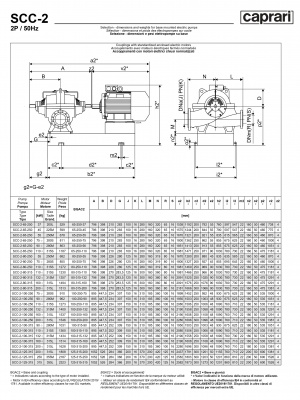 Горизонтальные насосы двустороннего входа Caprari SCC-2-100-250 1450 Горизонтальные насосы двустороннего входа Caprari SCC-2-100-250 1450