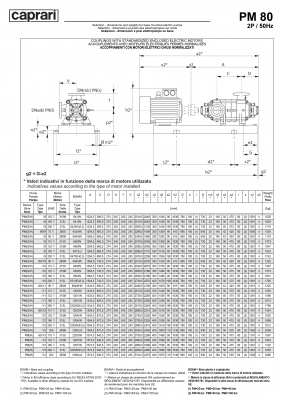 Горизонтальные многоступенчатые насосы высокого давления Caprari PM 80 1750 Горизонтальные многоступенчатые насосы высокого давления Caprari PM 80 1750