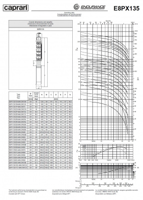 Скважинные насосы Caprari E8PX135 из нержавеющей стали Скважинные насосы Caprari E8PX135 из нержавеющей стали