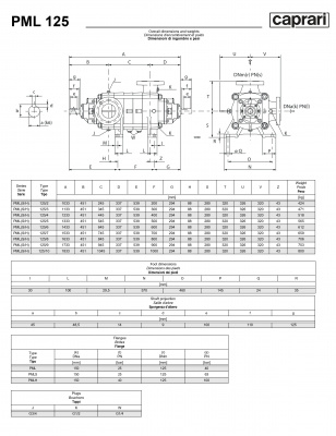 Горизонтальные многоступенчатые насосы высокого давления Caprari PML 125 2000 Горизонтальные многоступенчатые насосы высокого давления Caprari PML 125 2000