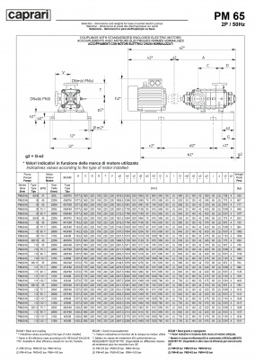 Горизонтальные многоступенчатые насосы высокого давления Caprari PM 65 3500 Горизонтальные многоступенчатые насосы высокого давления Caprari PM 65 3500