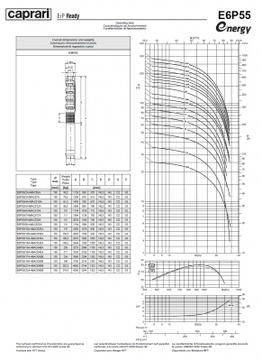 Скважинные насосы Caprari E6P55 из чугуна Скважинные насосы Caprari E6P55 из чугуна
