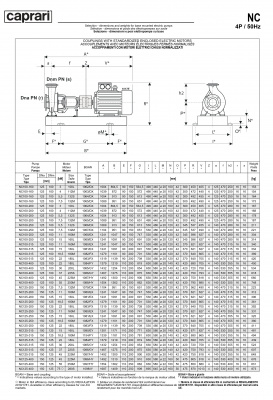 Одноступенчатые горизонтальные центробежные насосы Caprari NC 100-200 2900 Одноступенчатые горизонтальные центробежные насосы Caprari NC 100-200 2900