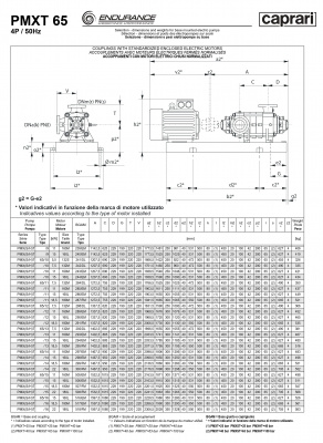 Горизонтальные секционные насосы высокого давления Caprari PMXT 65 2200 из нержавеющей стали Горизонтальные секционные насосы высокого давления Caprari PMXT 65 2200 из нержавеющей стали