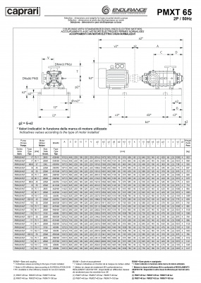 Горизонтальные секционные насосы высокого давления Caprari PMXT 65 1450 из нержавеющей стали Горизонтальные секционные насосы высокого давления Caprari PMXT 65 1450 из нержавеющей стали