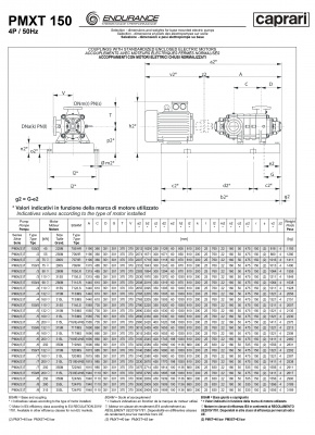 Горизонтальные секционные насосы высокого давления Caprari PMXLT 150 2000 из нержавеющей стали Горизонтальные секционные насосы высокого давления Caprari PMXLT 150 2000 из нержавеющей стали