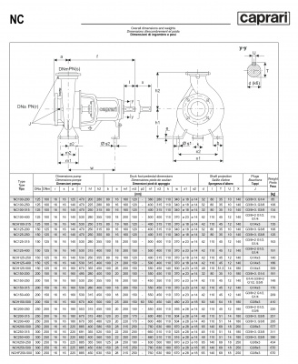 Одноступенчатые горизонтальные центробежные насосы Caprari NCH 250-500 1450 Одноступенчатые горизонтальные центробежные насосы Caprari NCH 250-500 1450
