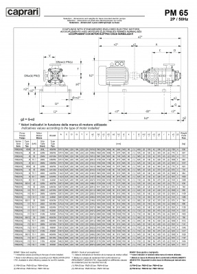 Горизонтальные многоступенчатые насосы высокого давления Caprari PM 65 1450 Горизонтальные многоступенчатые насосы высокого давления Caprari PM 65 1450
