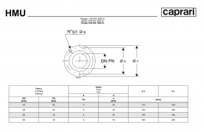 Горизонтальные секционные насосы высокого давления Caprari NMU 1750 Горизонтальные секционные насосы высокого давления Caprari NMU 1750