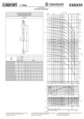 Скважинные насосы Caprari E6SX55 из нержавеющей стали Скважинные насосы Caprari E6SX55 из нержавеющей стали