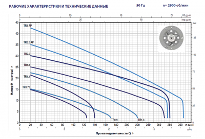 Погружной фекальный дренажный насос Pedrollo TRITUS TR 2.2 из чугуна с измельчителем из нержавеющей стали