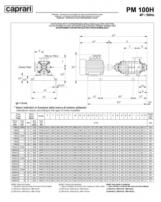 Горизонтальные многоступенчатые насосы высокого давления Caprari PM 100H 3500 Горизонтальные многоступенчатые насосы высокого давления Caprari PM 100H 3500