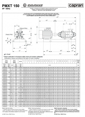 Горизонтальные секционные насосы высокого давления Caprari PMXT 150 1150 из нержавеющей стали Горизонтальные секционные насосы высокого давления Caprari PMXT 150 1150 из нержавеющей стали
