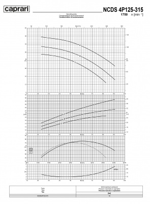 Одноступенчатые горизонтальные центробежные насосы Caprari NCDS 4P125-315 1750 Одноступенчатые горизонтальные центробежные насосы Caprari NCDS 4P125-315 1750
