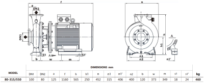 Центробежный насос Purity PSTG-R5 80-315/550