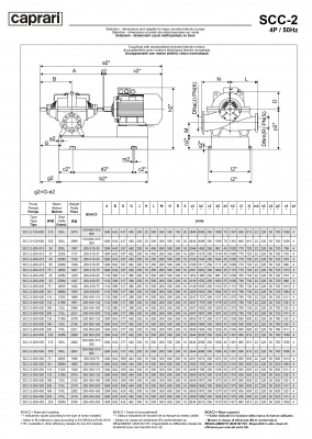 Горизонтальные насосы двустороннего входа Caprari SCC-2-200-430 1450 Горизонтальные насосы двустороннего входа Caprari SCC-2-200-430 1450