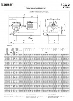 Горизонтальные насосы двустороннего входа Caprari SCC-2-80-250 1450 Горизонтальные насосы двустороннего входа Caprari SCC-2-80-250 1450
