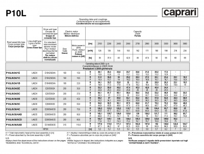 Вертикальные полупогружные насосы Caprari P10L Вертикальные полупогружные насосы Caprari P10L